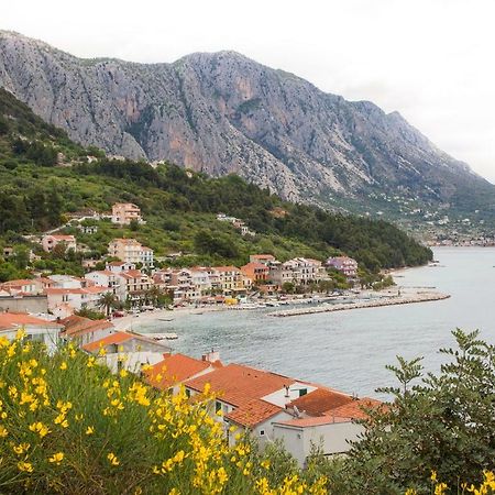 Apartments Vlado Podgora Dış mekan fotoğraf