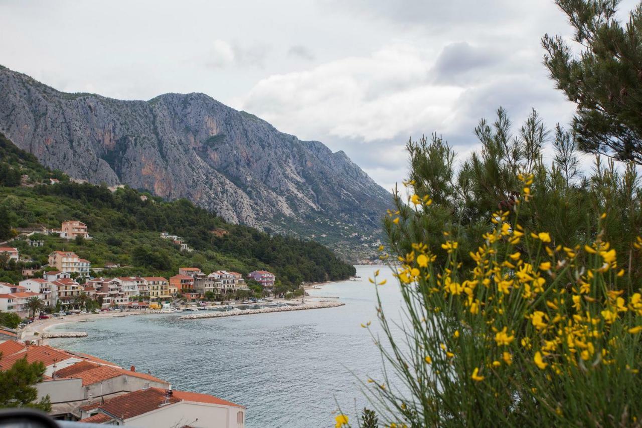 Apartments Vlado Podgora Dış mekan fotoğraf
