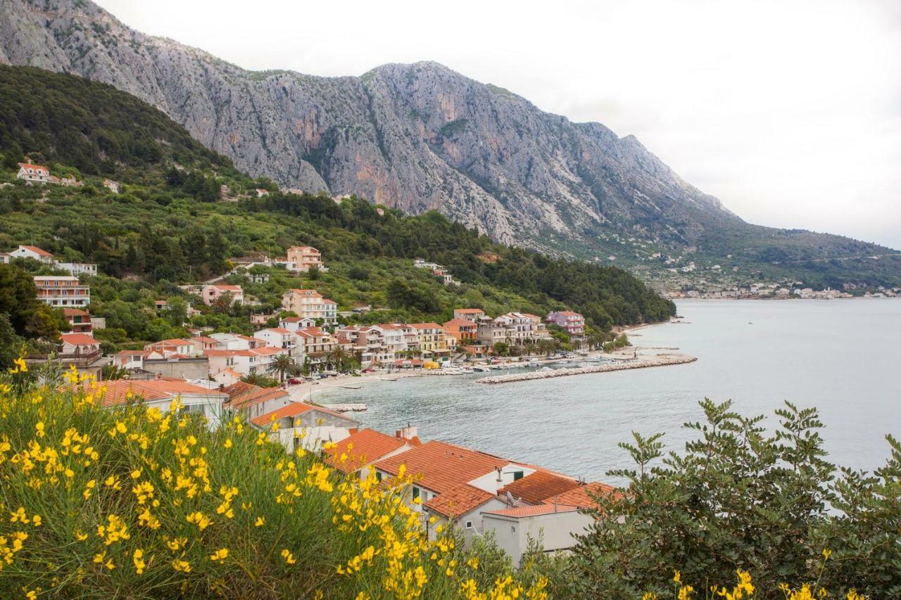 Apartments Vlado Podgora Dış mekan fotoğraf